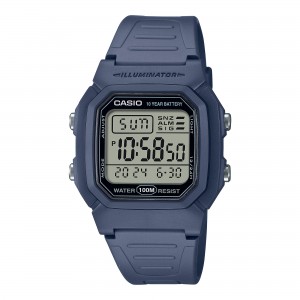 카시오워치스 > 군인시계  > W-800H-2A 카시오 손목 시계